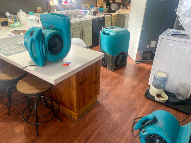 Best Water damage restoration near me  in Chester Gap, VA