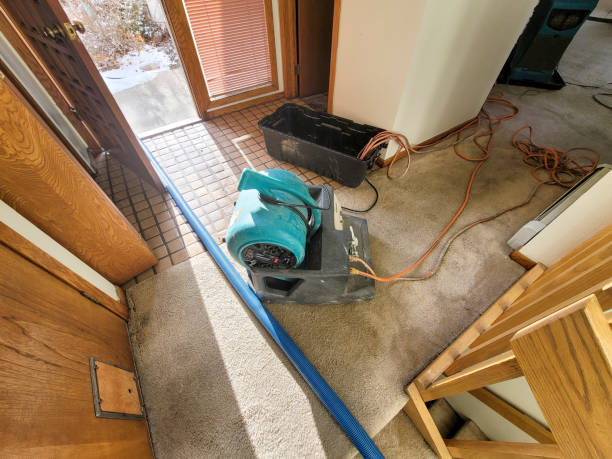 Chester Gap, VA Water damage restoration Company