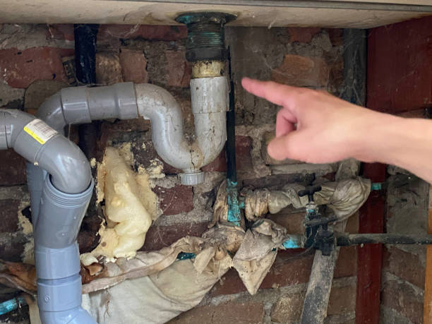 Water damage restoration mold remediation in Chester Gap, VA
