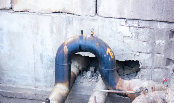 Best Flood damage cleanup  in Chester Gap, VA
