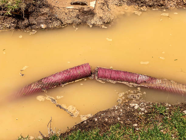 Trusted Chester Gap, VA Water damage restoration Experts
